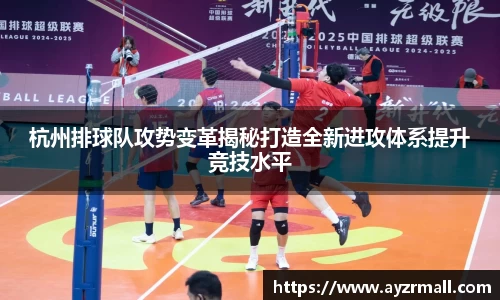 杭州排球队攻势变革揭秘打造全新进攻体系提升竞技水平