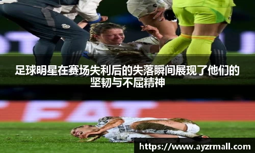 英国(正版)365官方网站